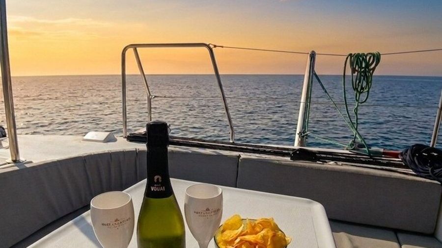 Benalmádena Small-Group Catamaran Tour and Dolphin Spotting