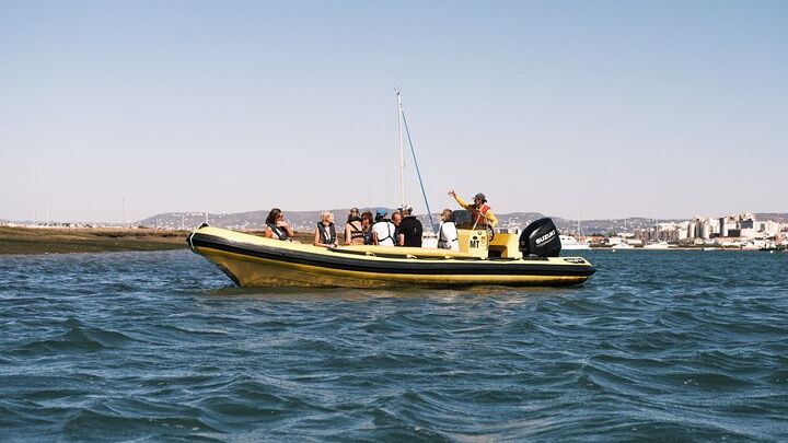 Faro to Ilha Deserta, Rio Formosa Natural Park Eco-Tour