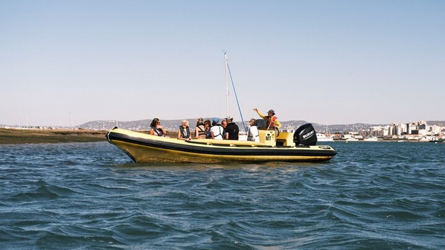 Faro to Ilha Deserta, Rio Formosa Natural Park Eco-Tour
