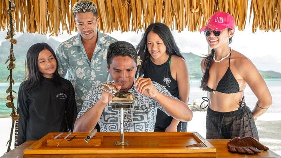 Bora Bora Small-Group Black Pearl Farm Snorkeling Tour