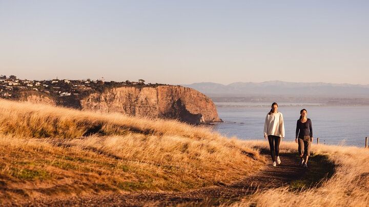 Lyttelton Guided Walking Tour and Picnic