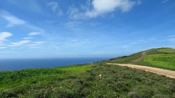 Cyprus Quad Tour to Akamas Forest and Latchi Harbour