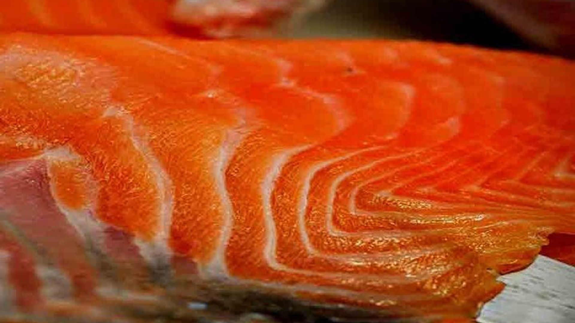 Besuche des Bayeux Artisanal Salmon