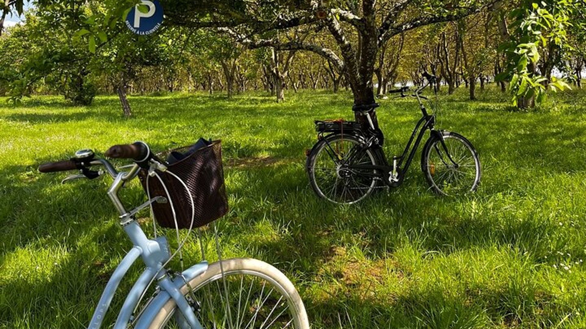 Visite Privée en immersion à la Noyeraie avec dégustation