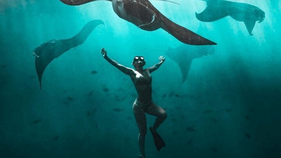 Nusa Penida Manta Snorkeling with Lunch and Private Transfers