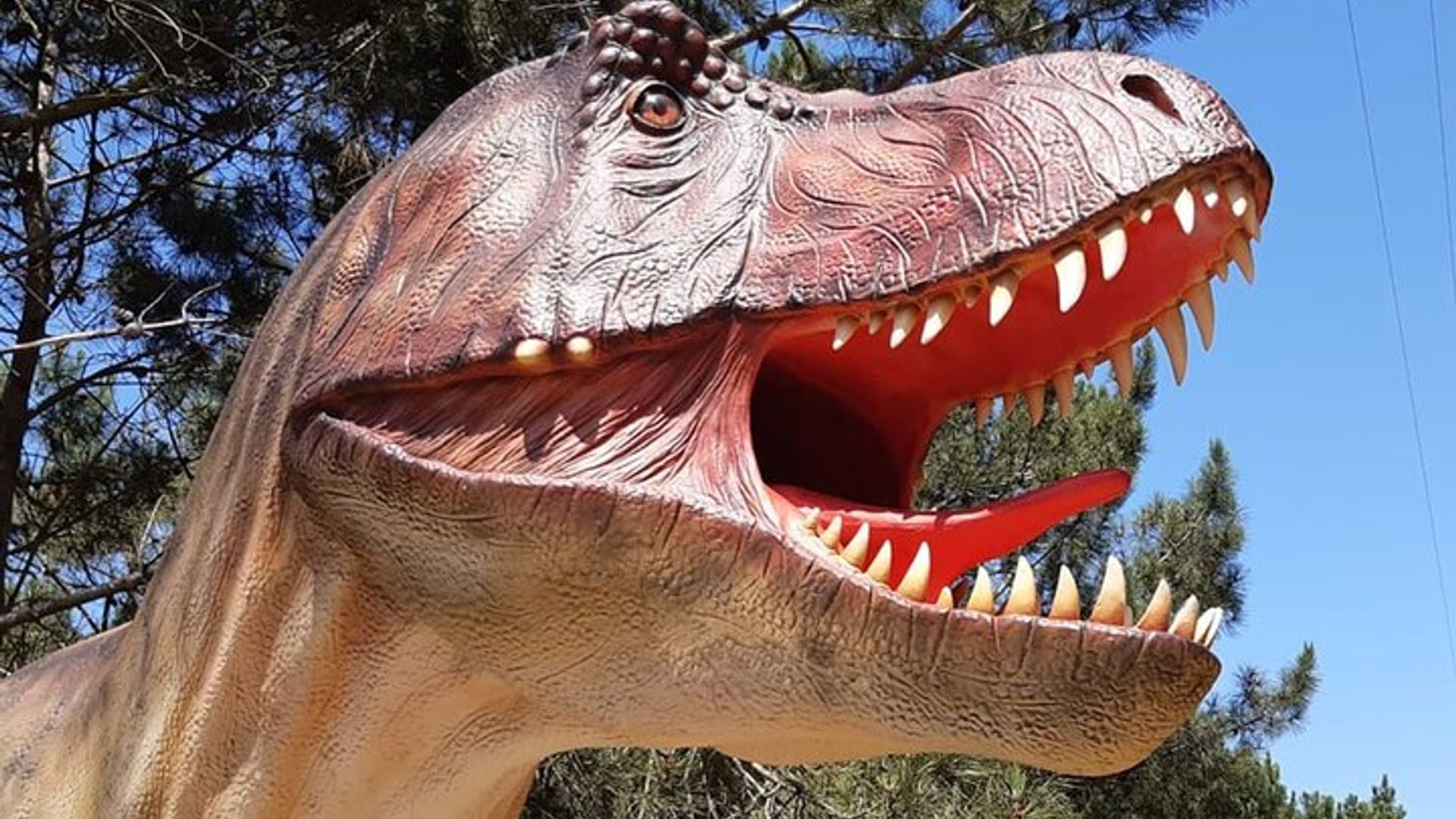 Lisbon: Dinosaur Park Tour With Private Round-Trip Transport