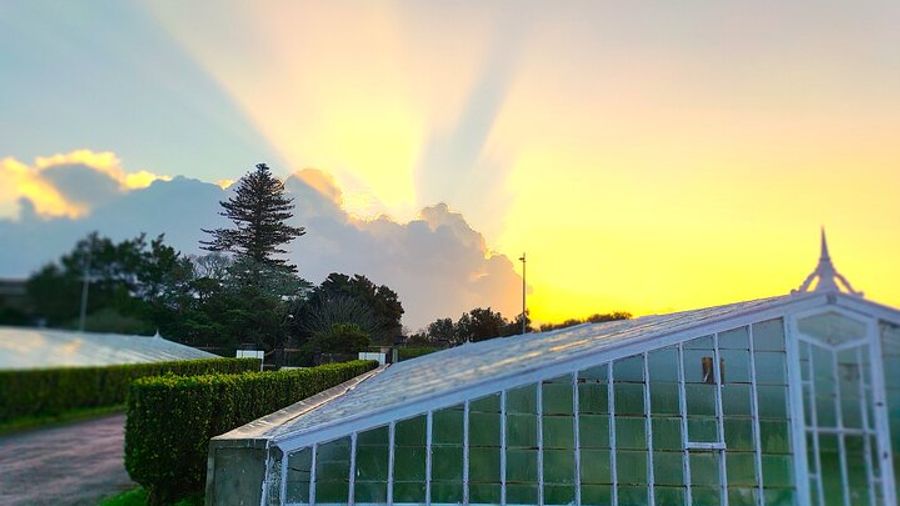 Private Custom Tour in São Miguel Island