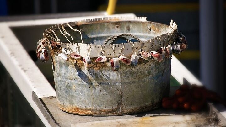 Bering Sea Crab Fishing Tour From Ketchikan