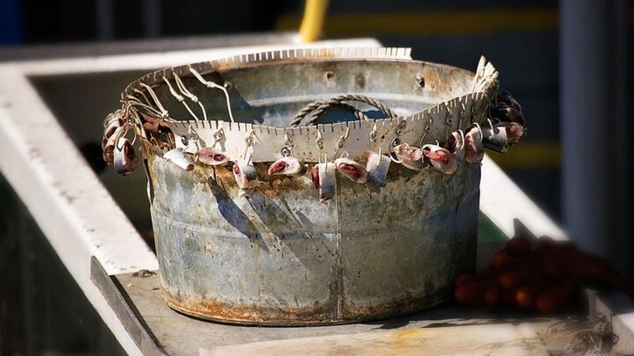 Bering Sea Crab Fishing Tour From Ketchikan