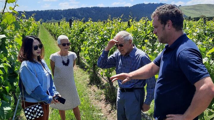 Wairarapa Food Small-Group Tour with Tastings, Vineyard Lunch