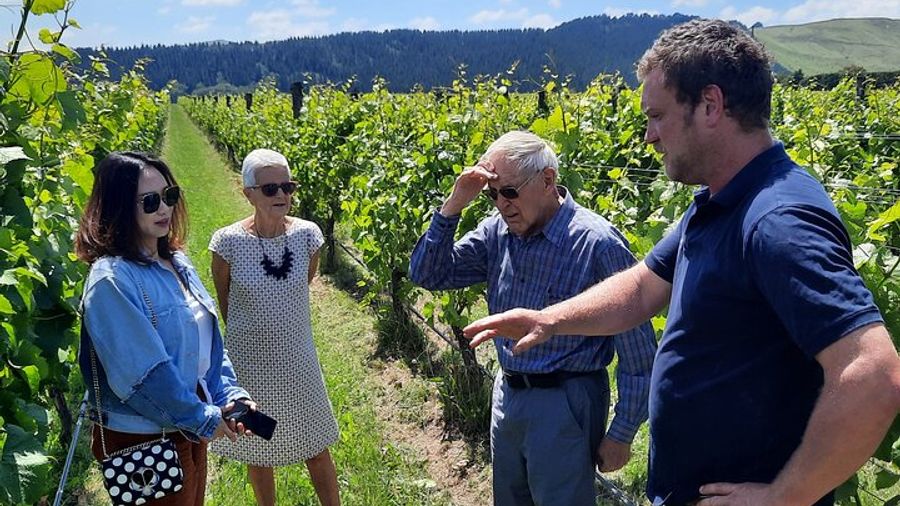 Wairarapa Food Small-Group Tour with Tastings, Vineyard Lunch