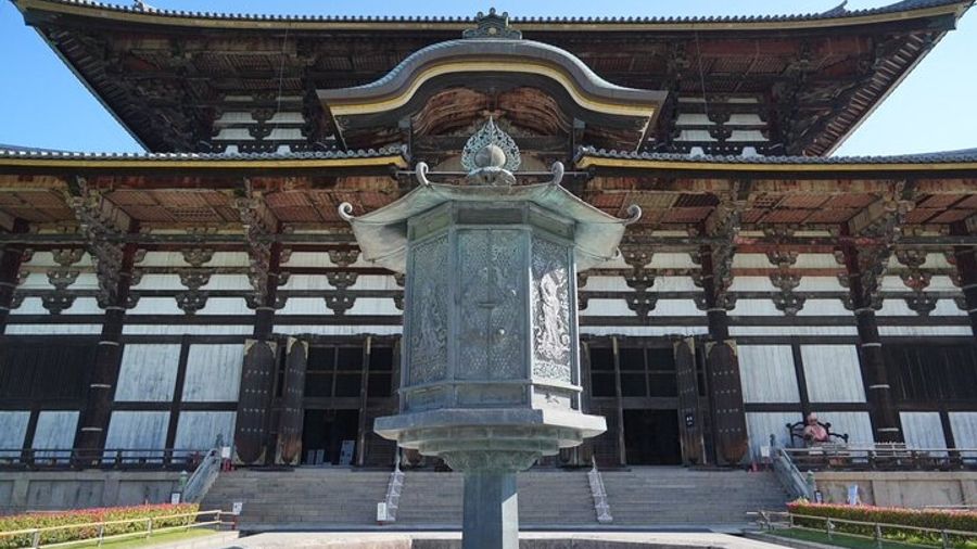 Nara: Early-Morning, Small-Group Tour