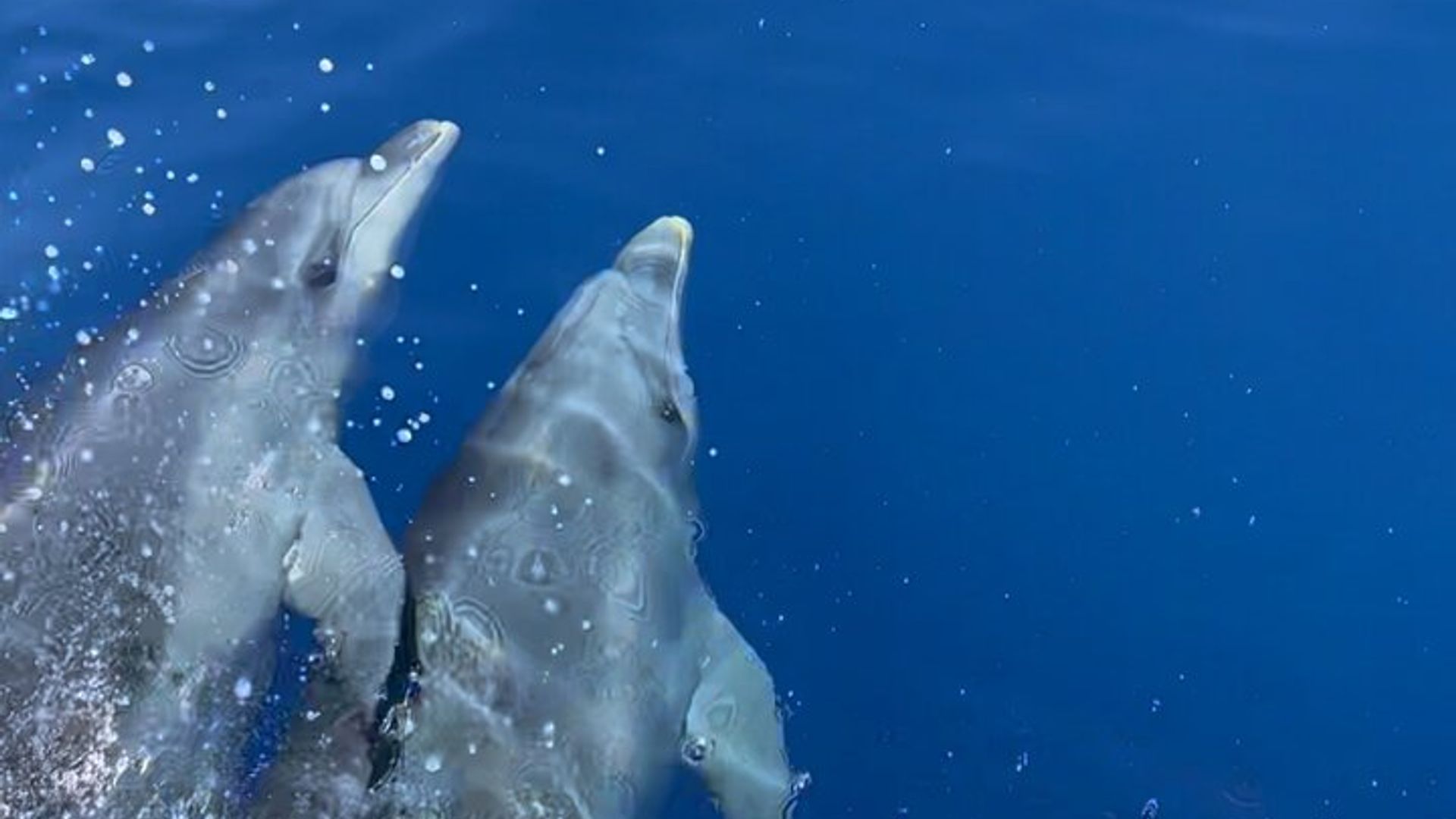 Escapada para as Calanques de Piana de Cargèse em um pequeno grupo