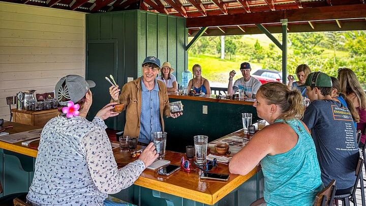 Hawaii Big Island Craft Chocolate Tasting and Farm Experience