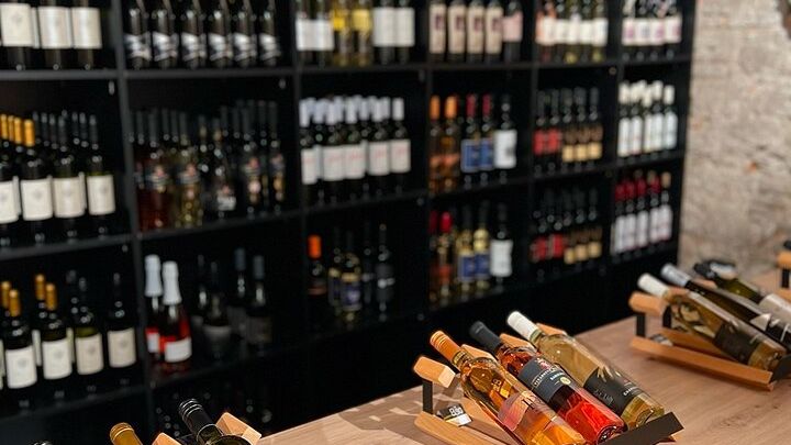 Short Slovak Wine Group Tasting Tour In Michalska