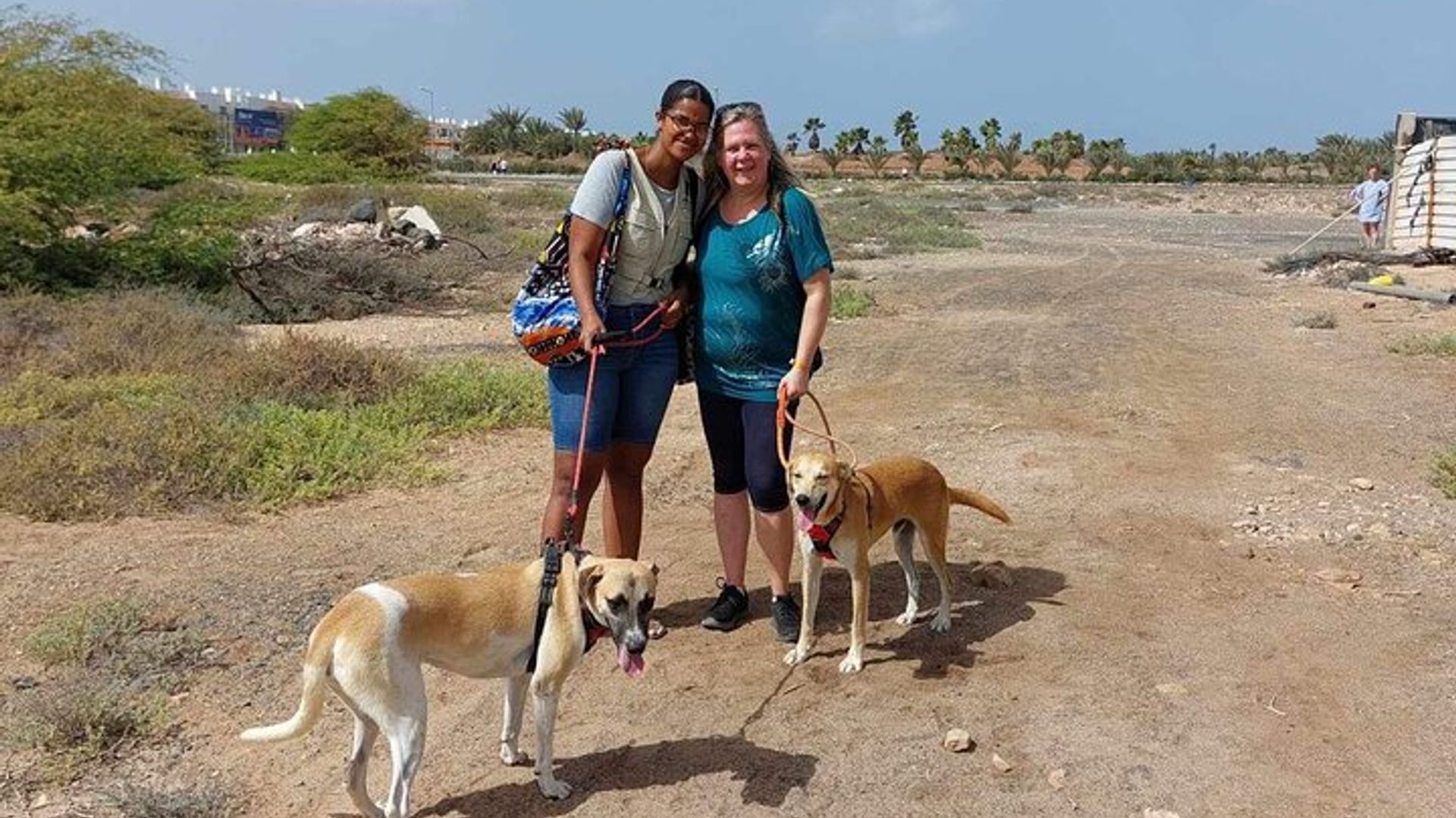 Exclusiva isla de Sal: día completo personalizado para usted