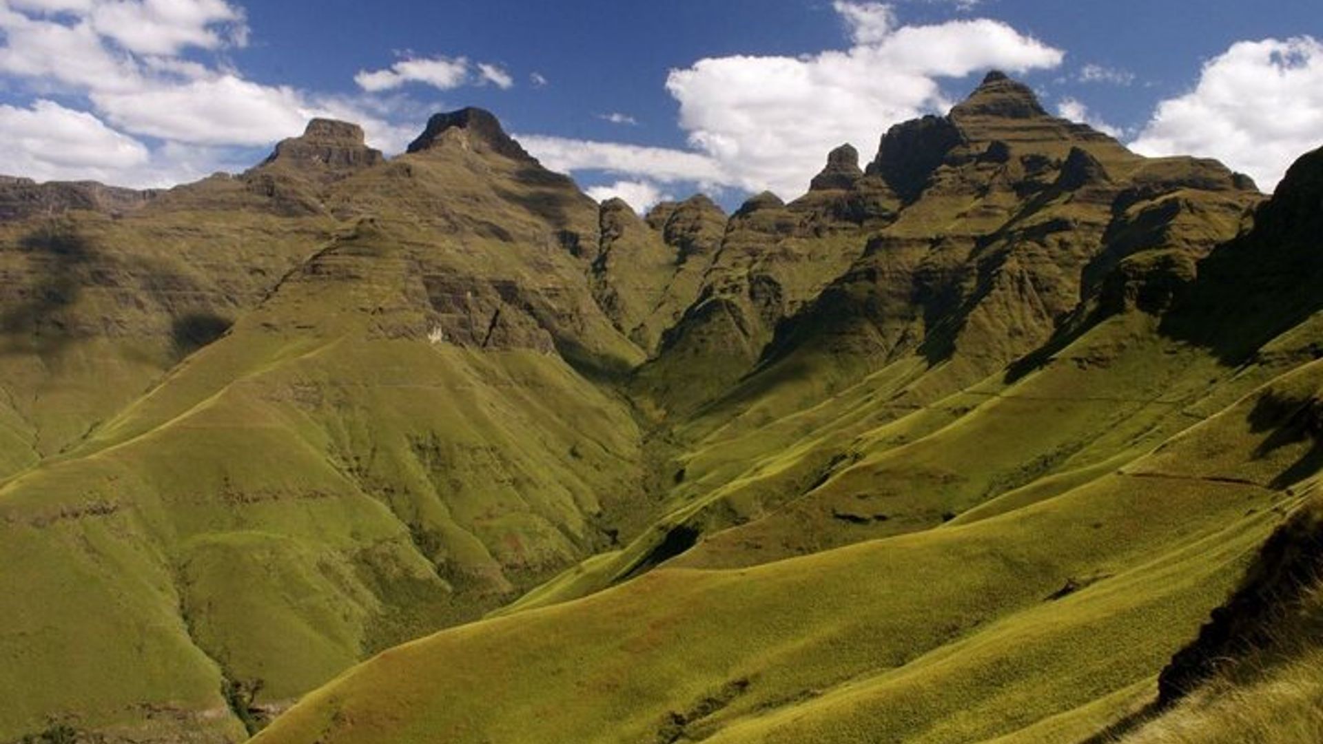 Garden Route 4 Tagestour in kleiner Gruppe ab Kapstadt Startet jeden Tag