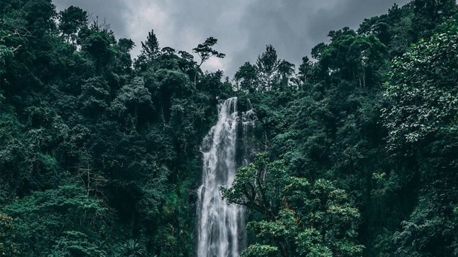 Arusha: Maasai Village, Waterfalls, and Coffee Tour With Lunch