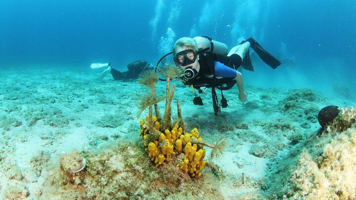 Chania Snorkeling and Scuba Diving Experience