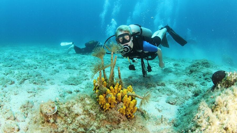 Chania Snorkeling and Scuba Diving Experience