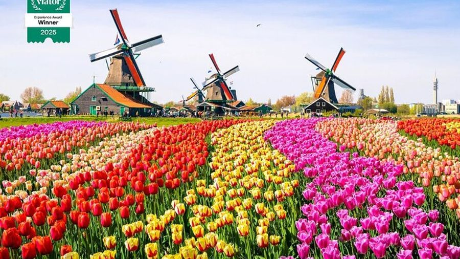 Amsterdam: Private Zaanse Schans, Volendam, Marken Haven Tour