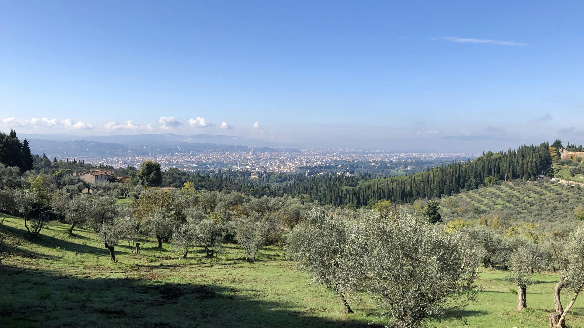 Half-Day Hiking Tour in Fiesole's Hills with Wine and Lunch