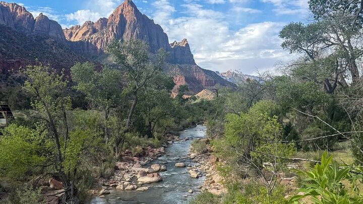 Zion National Park Highlights Half Day Guided Tour