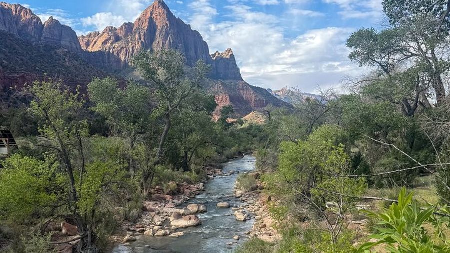 Zion National Park Highlights Half Day Guided Tour