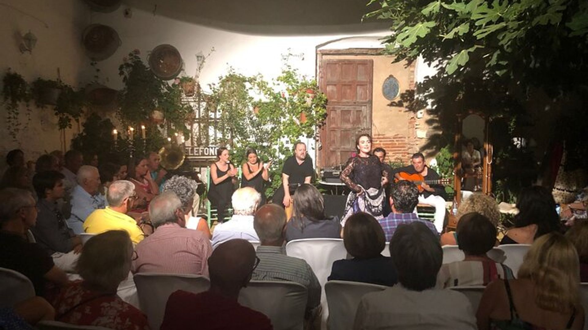 Andalousie Soirée Flamenco avec Tapas