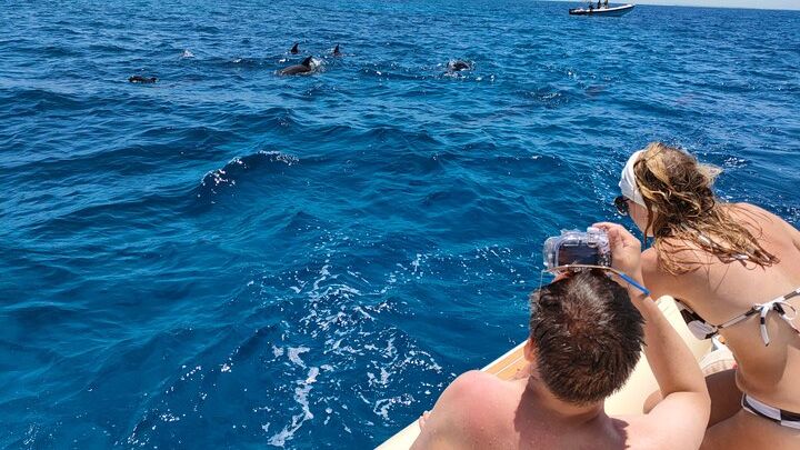 Hurghada Dolphin-Watching and Snorkeling Private Half-Day Tour