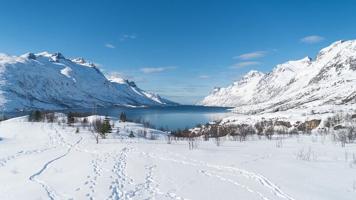 Scenic Arctic Fjords Road Trip (All Photos Included)