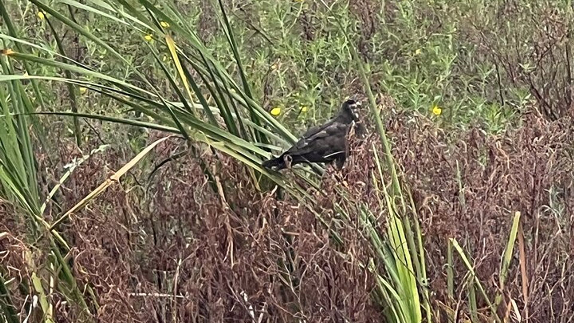 Tour de 1 hora en barco