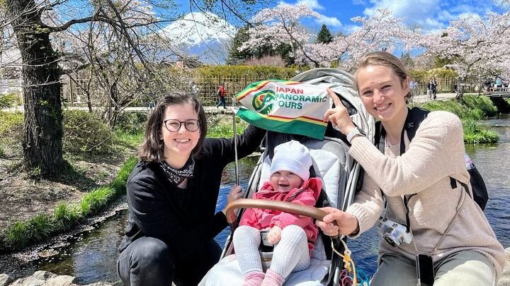 Mt Fuji and Hakone 1-Day Bus Tour Return by Bullet Train