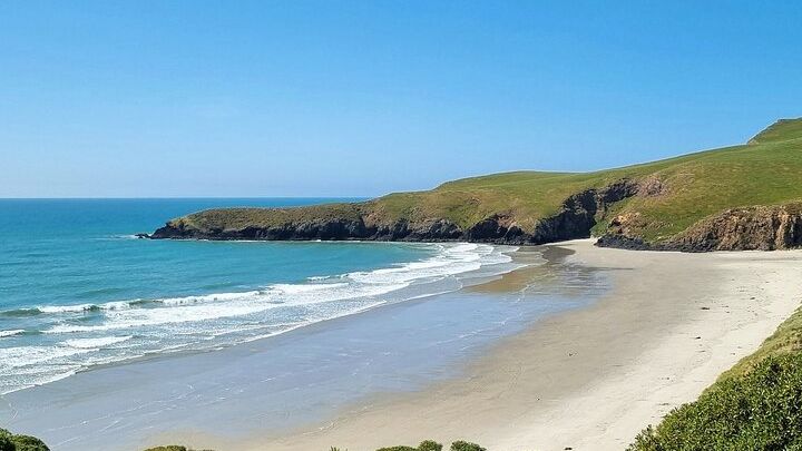 Dunedin and Otago Peninsula Highlights Small-Group Day Tour