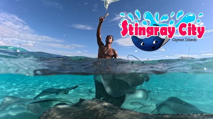 Cayman Islands Stingray City and Starfish Snorkel Tour