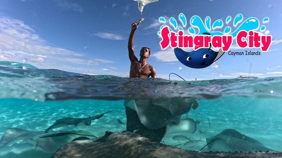 Cayman Islands Stingray City and Starfish Snorkel Tour