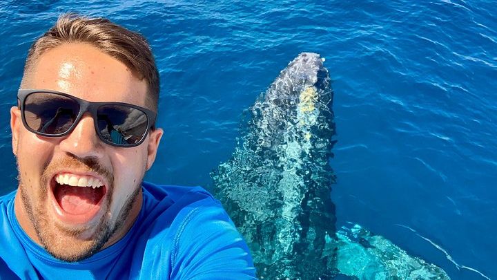 Maui Whale Watching Tour Aboard the Quicksilver From Maalaea