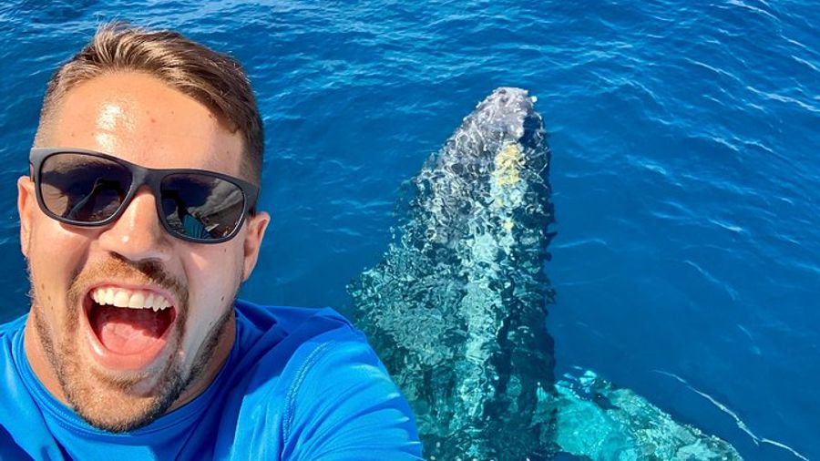 Maui Whale Watching Tour Aboard the Quicksilver From Maalaea