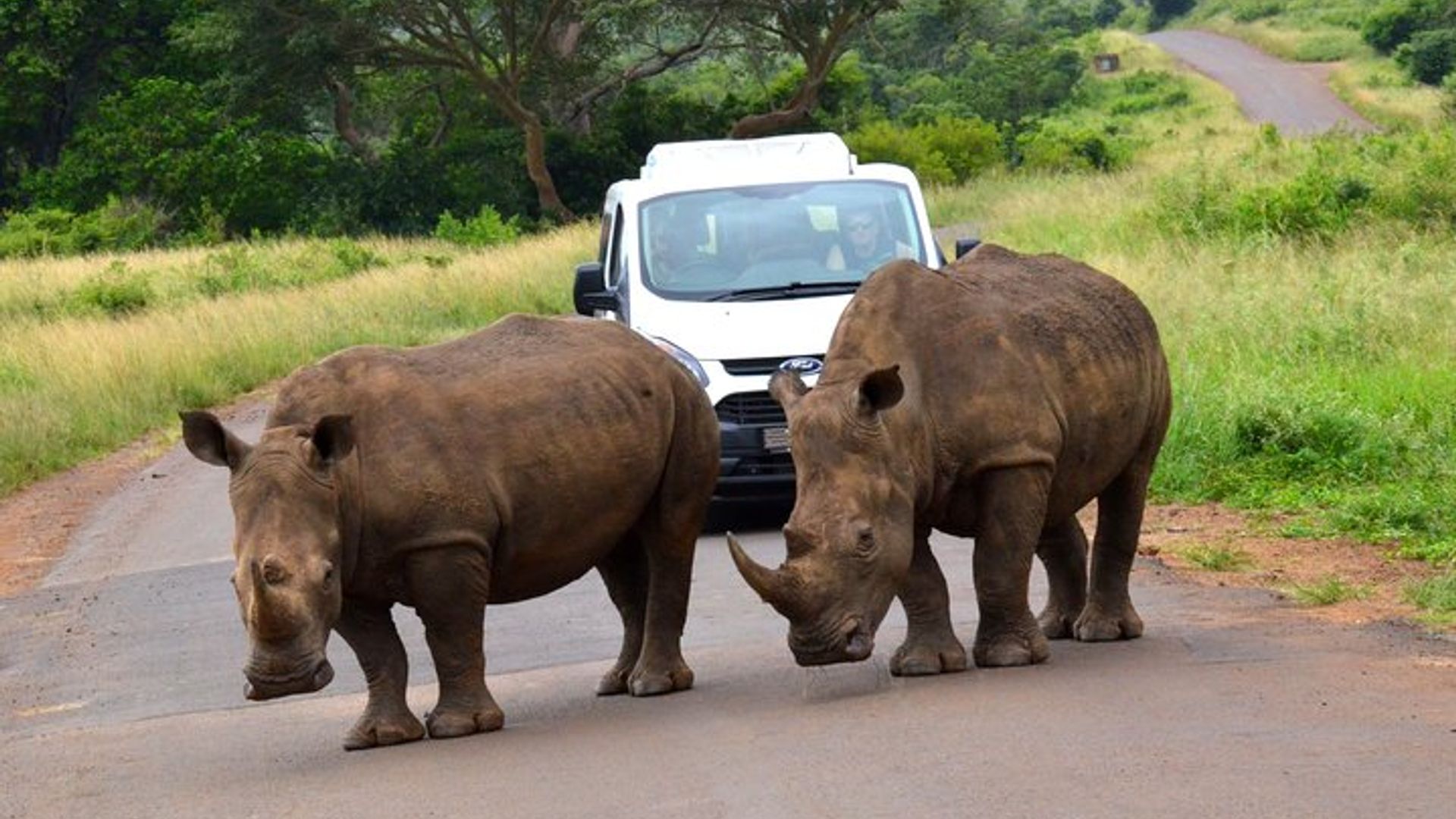 St Lucia Marine and Hluhluwe Imfolozi Land Safari From Durban