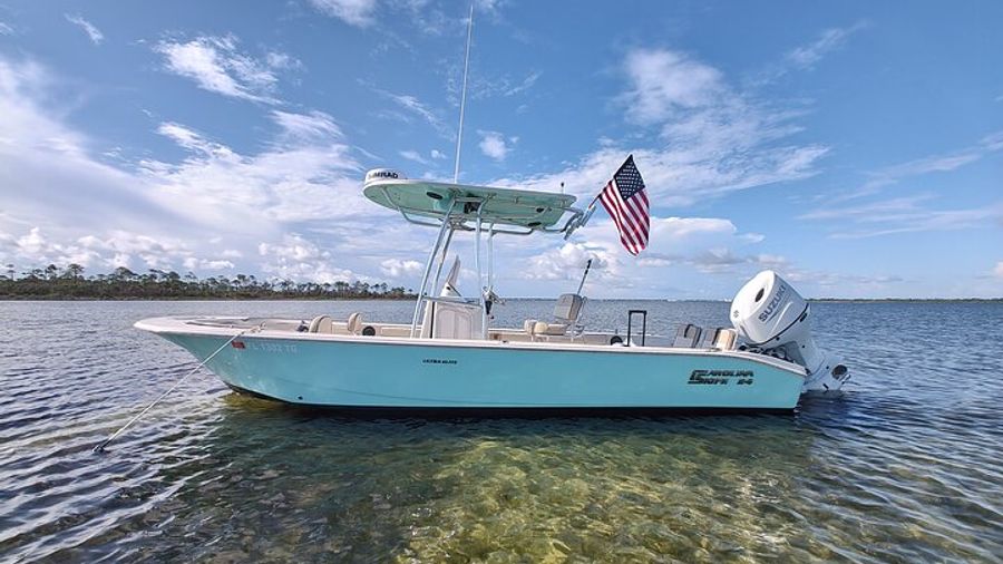 A dolphin-spotting and snorkeling boat tour from Panama City