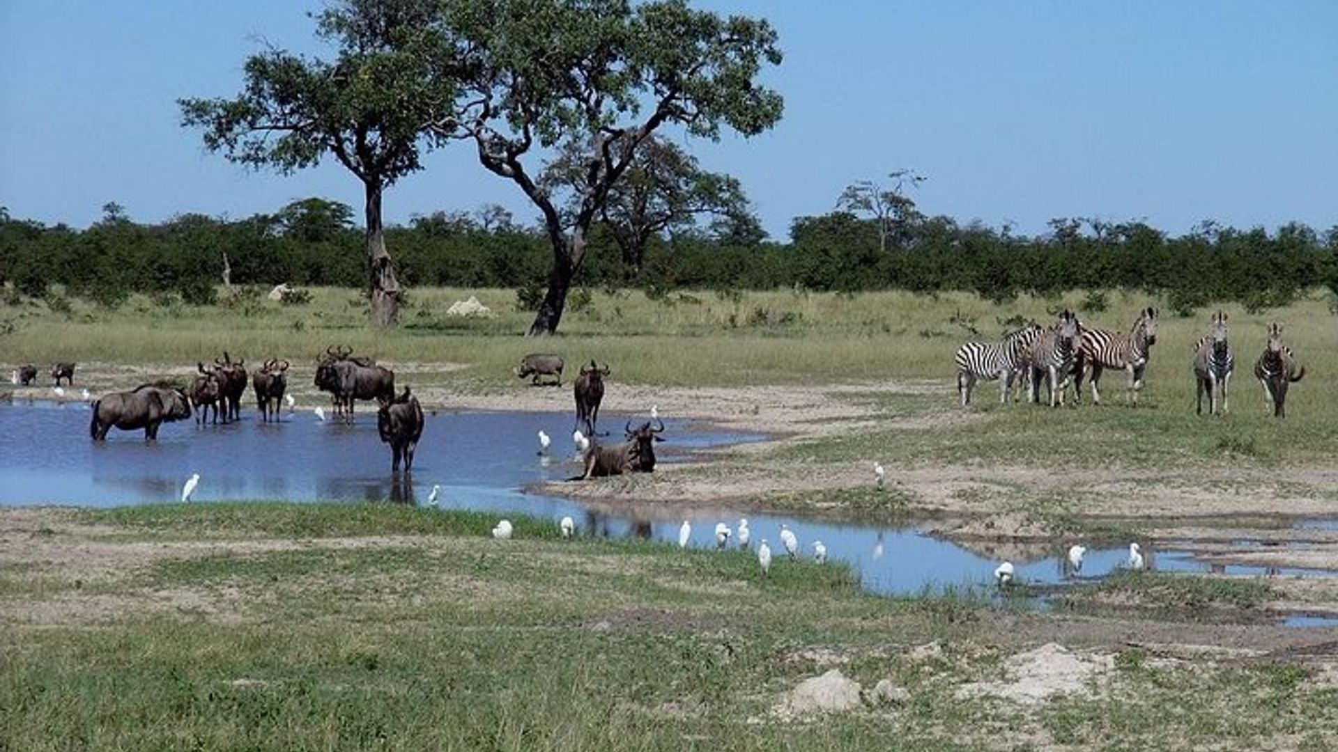 Isumo rya Victoria Iminsi 3 Chobe NP Camping Safari