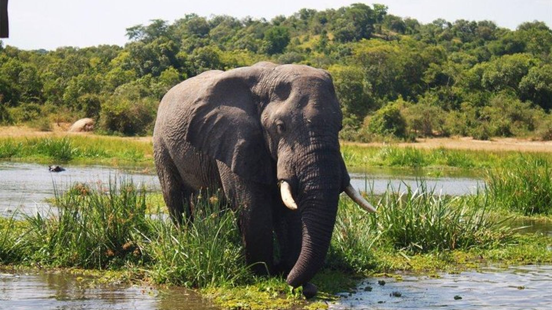 Three Days Murchison Falls National Park Tour in Uganda