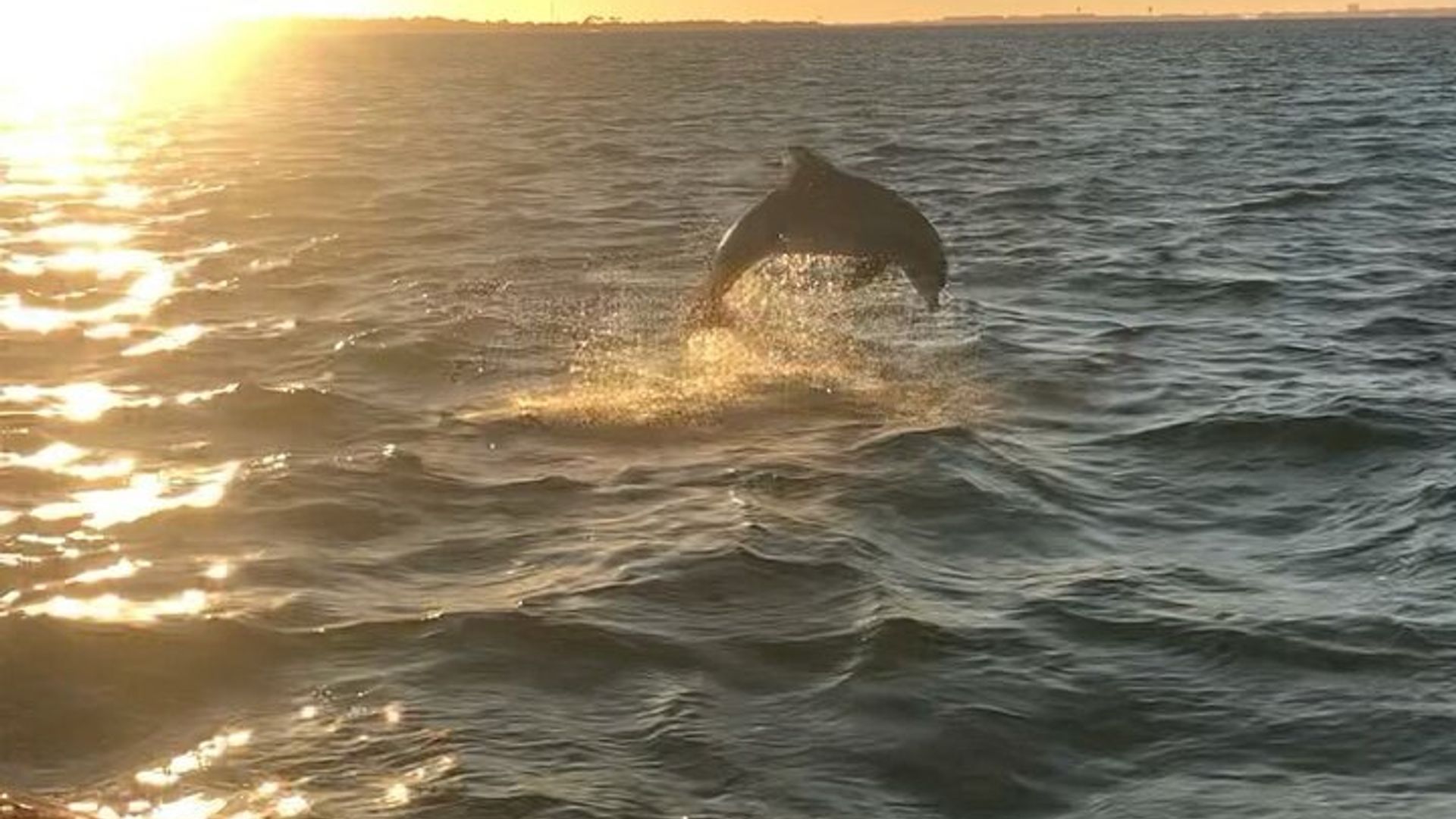 Crucero Tiki para grupos pequeños de Destin Harbour