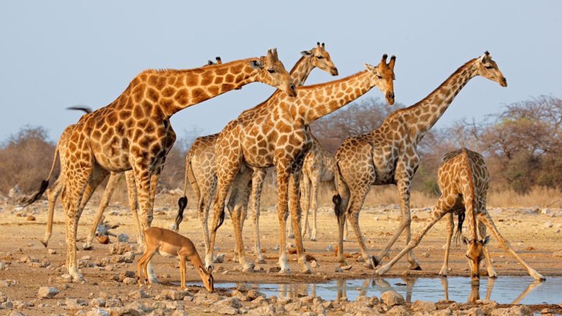 Johannesburg to Cape Town 10-Day Private Safari Tour