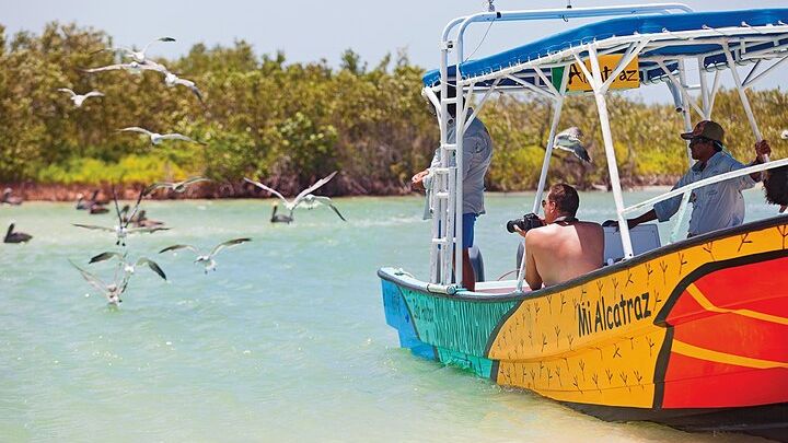 Whale Shark Group Adventure from Isla Holbox