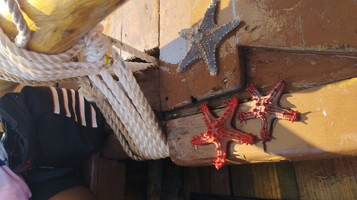 Zanzibar Private Walking Tour with Stone Town Hotel Pickup