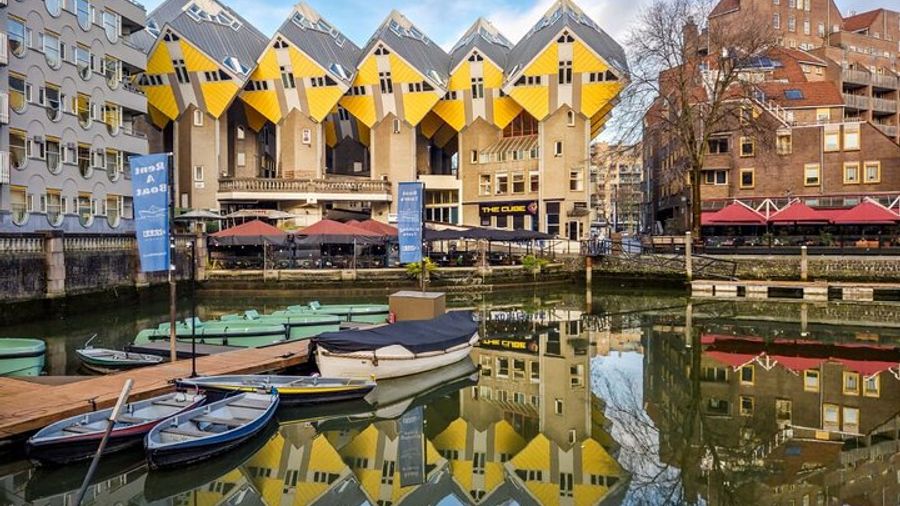 Rotterdam Highlights and Hidden Gems Small-Group Walking Tour