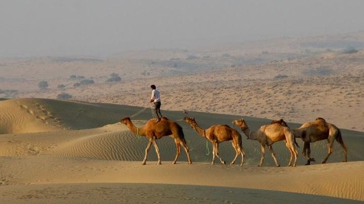 2 Days-1 Night Camel Tour