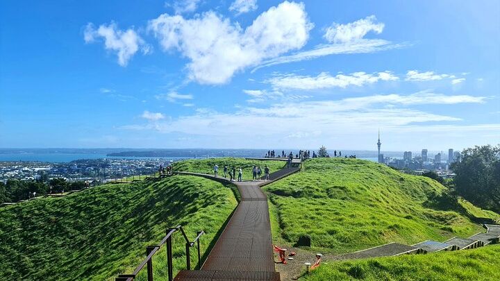 Auckland Highlights Half-Day Small-Group Sightseeing Tour