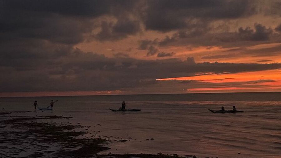 Small-Group Kayak Tour of Holbox Mangroves